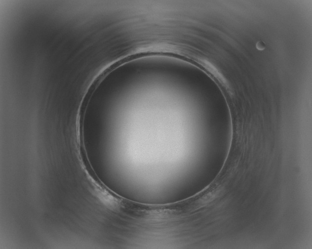 X0000073500988200607311248