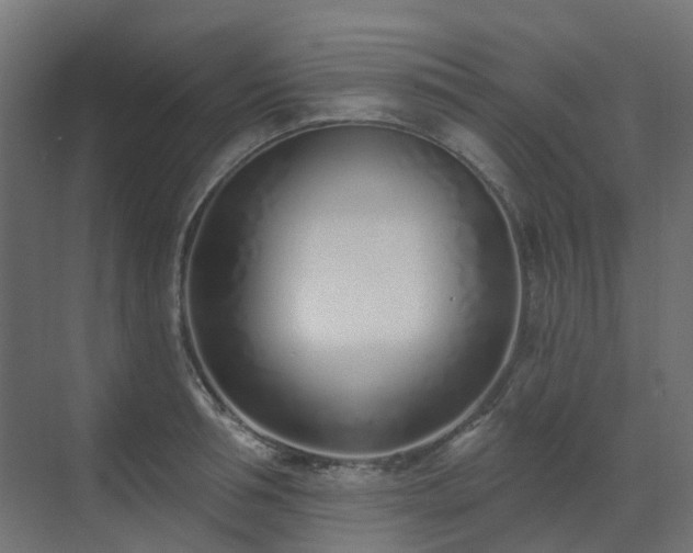 X0000073500994200607311248