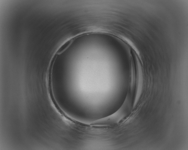 X0000073501007200607311248
