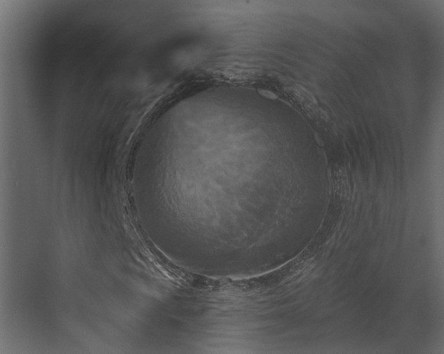 X0000073501009200607311247
