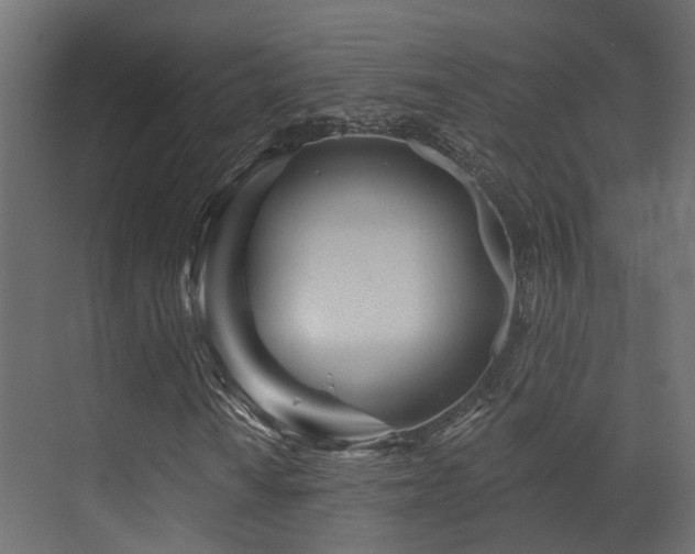 X0000073501010200607311247