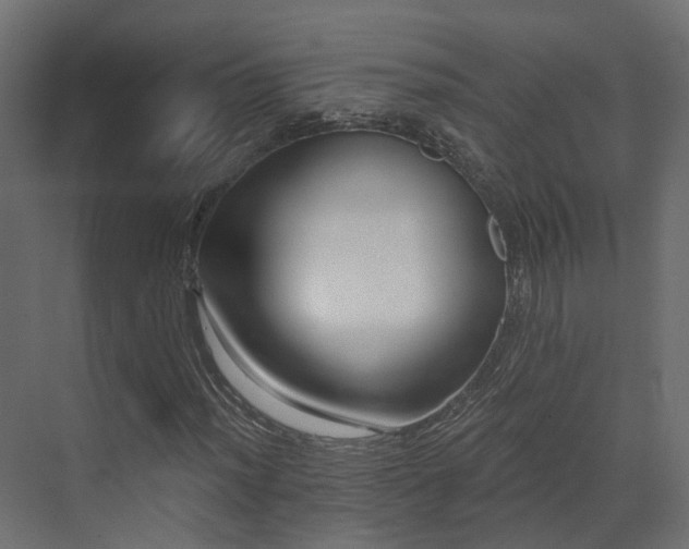 X0000073501012200607311247