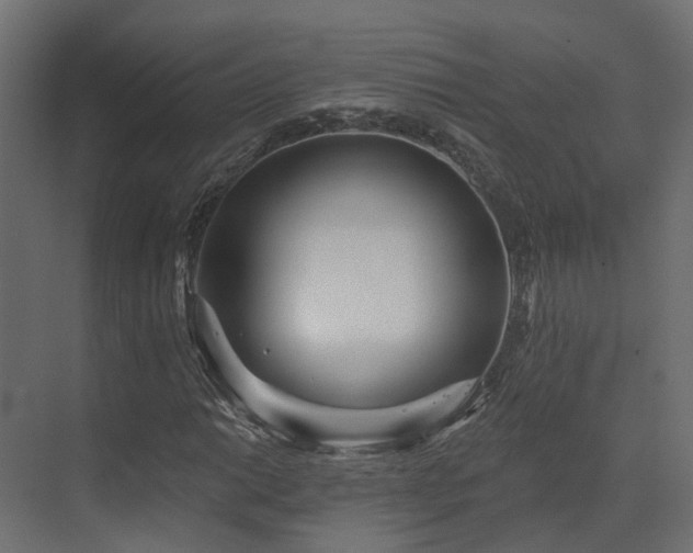 X0000073501014200607311247