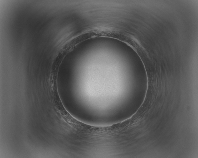 X0000073501016200607311247