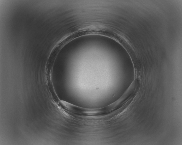 X0000073501018200607311247