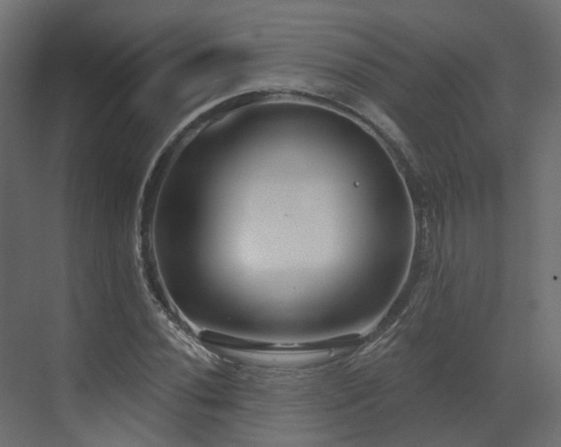 X0000073501020200607311247