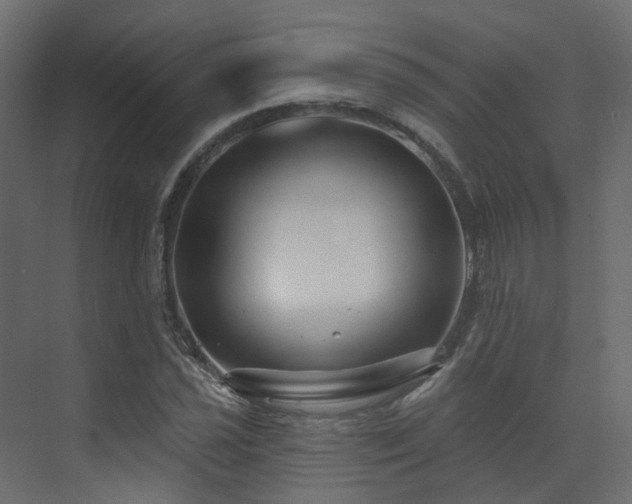 X0000073501021200607311247