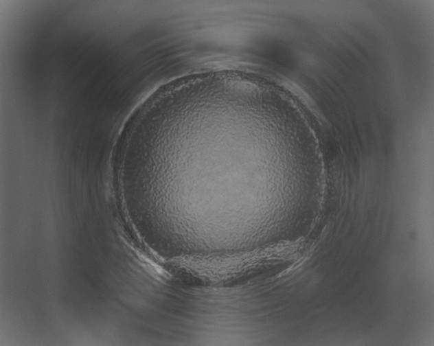 X0000073501023200607311247