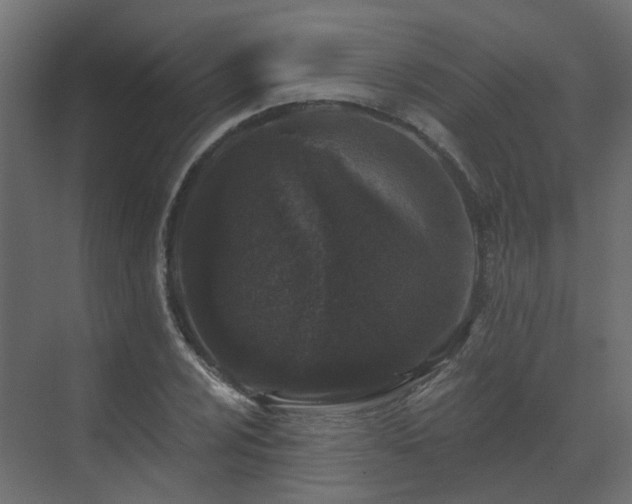 X0000073501024200607311247