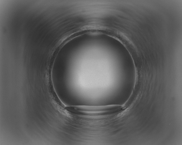 X0000073501025200607311247
