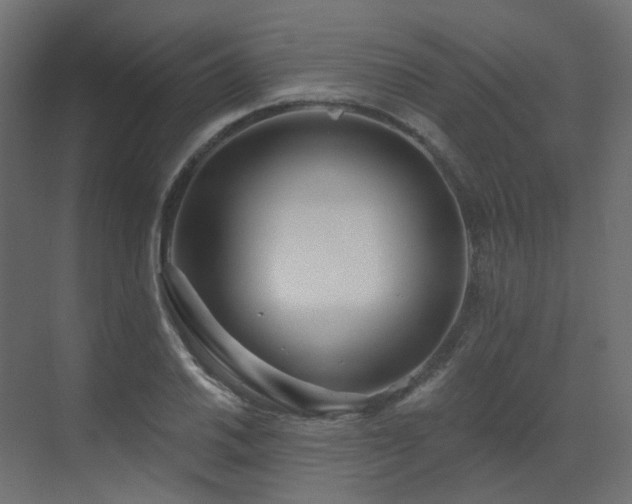 X0000073501030200607311247