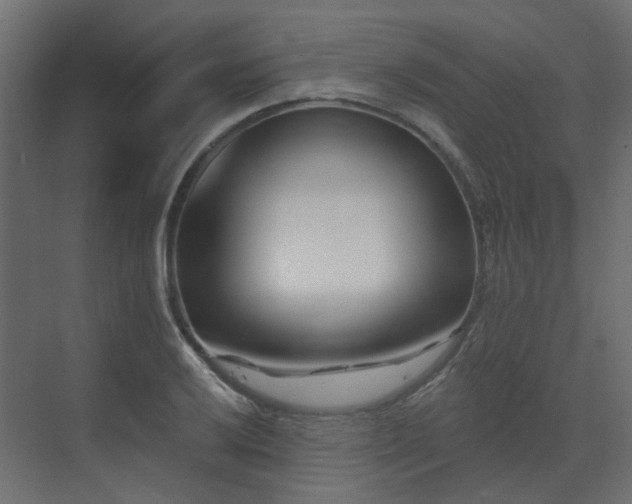 X0000073501032200607311247
