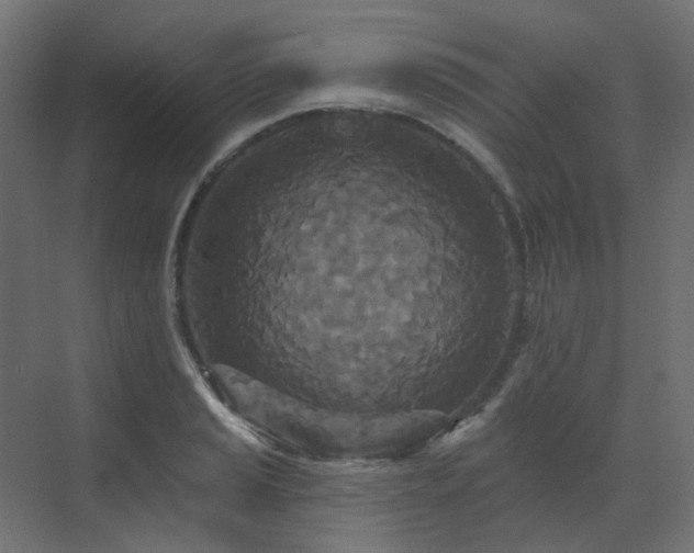 X0000073501037200607311247