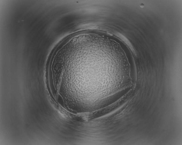 X0000073501051200607311247