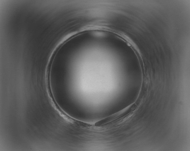 X0000073501053200607311247