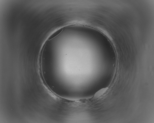 X0000073501056200607311247