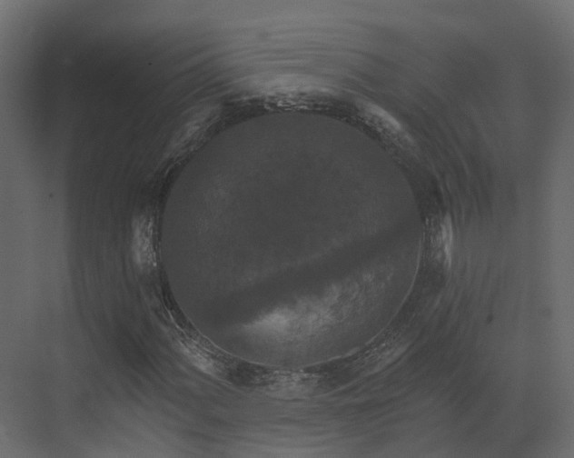 X0000073501060200607311247