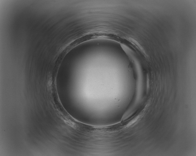 X0000073501065200607311247
