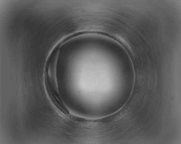 X0000073501085200607311246