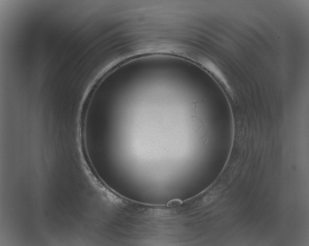 X0000073501088200607311246