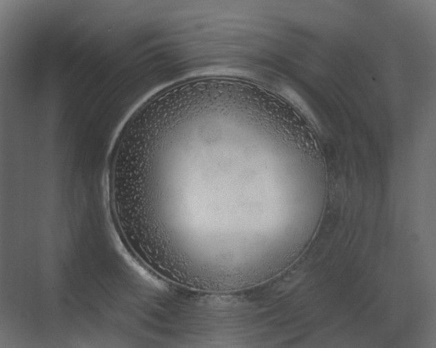 X0000073501092200607311246