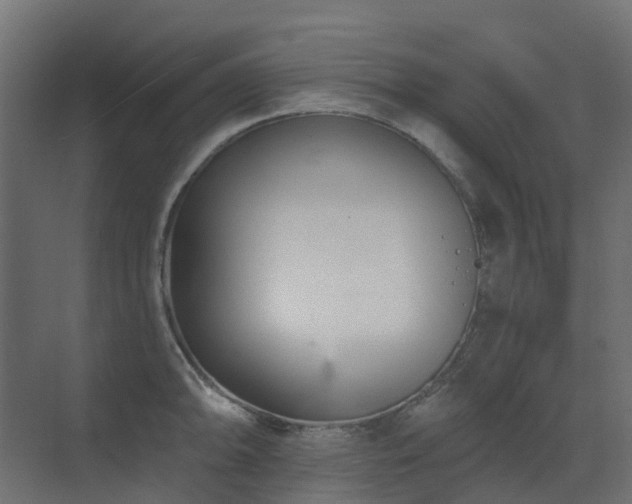 X0000073501094200607311246