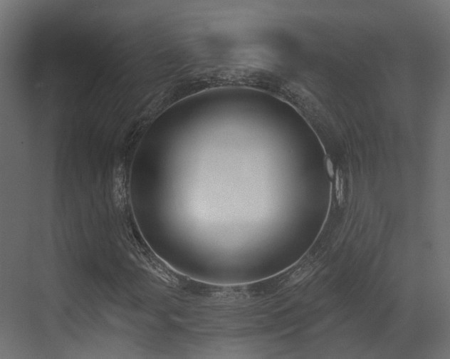 X0000073501107200607311245