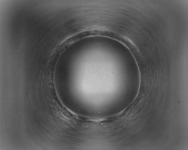 X0000073501112200607311245