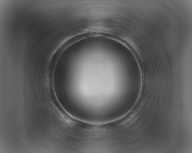 X0000073501115200607311245