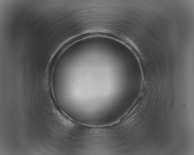 X0000073501116200607311245