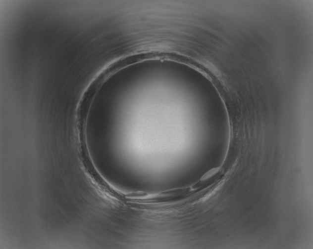 X0000073501118200607311245