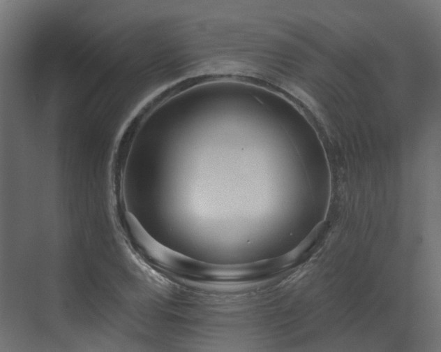 X0000073501120200607311245