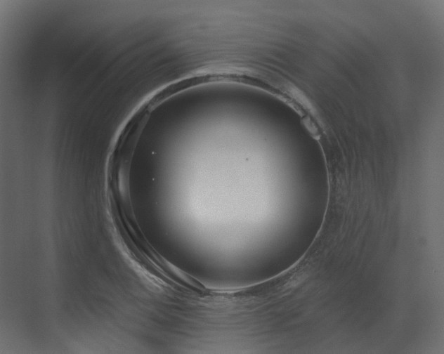 X0000073501124200607311245