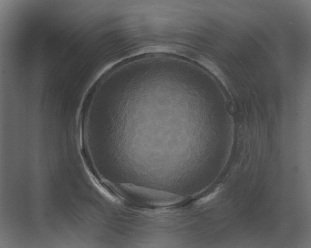 X0000073501127200607311245