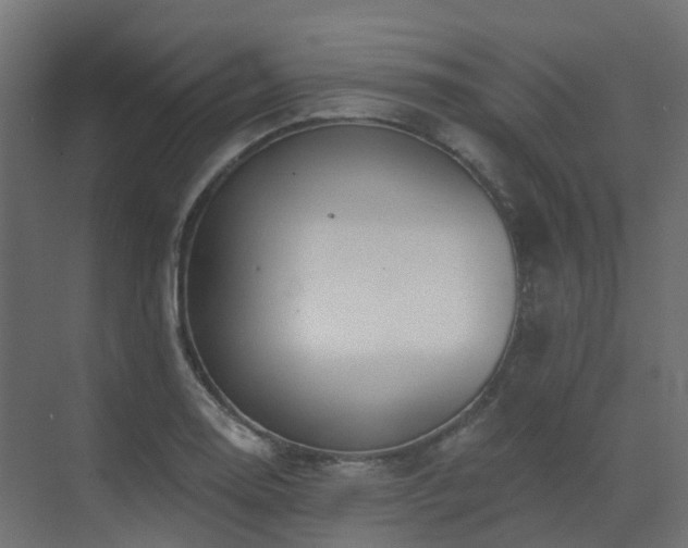 X0000073501130200607311245