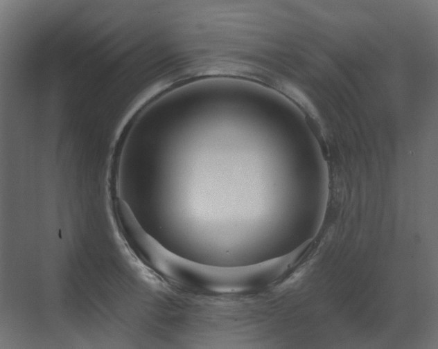 X0000073501138200607311246