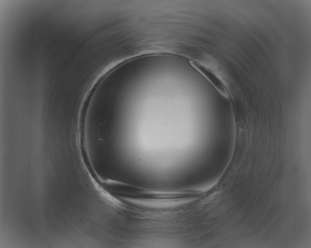 X0000073501143200607311246