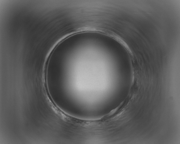 X0000073501148200607311246