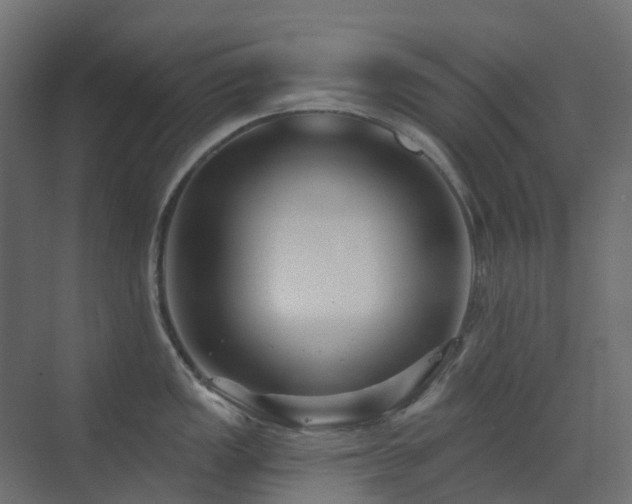 X0000073501149200607311246