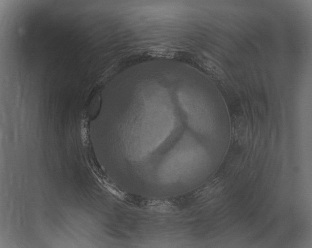 X0000073501154200607311245