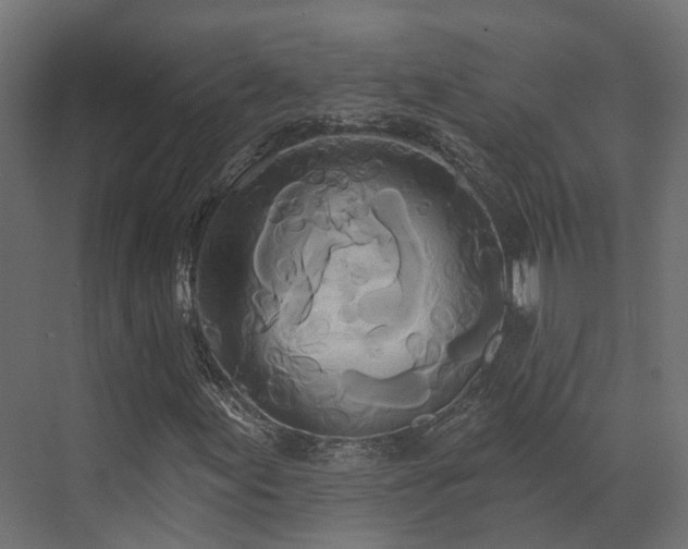 X0000073501155200607311245