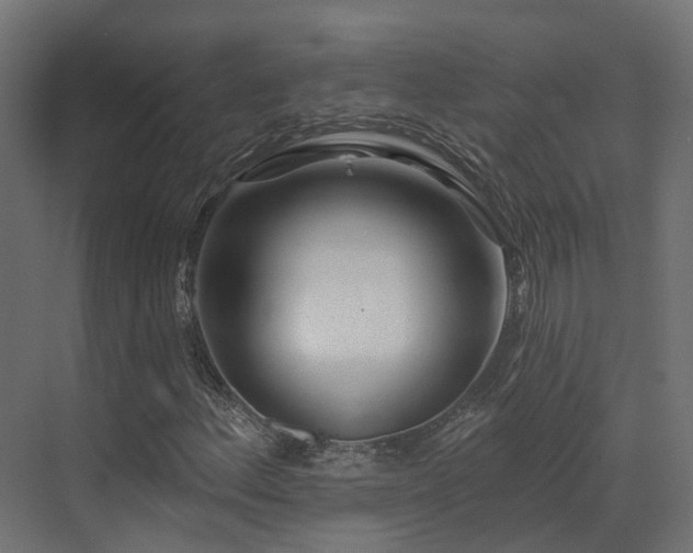 X0000073501156200607311245
