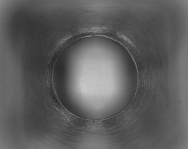 X0000073501158200607311245