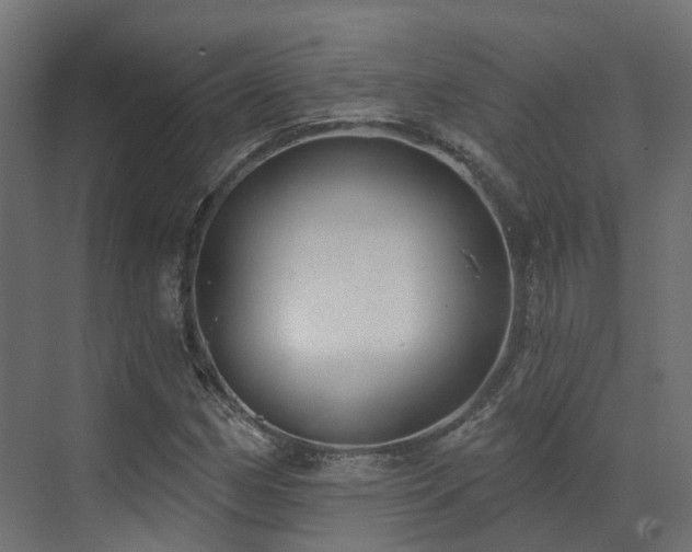 X0000073501162200607311245