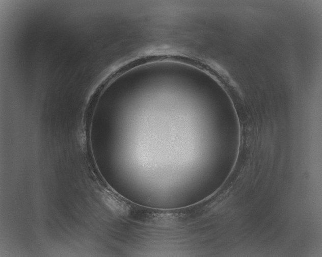 X0000073501167200607311245
