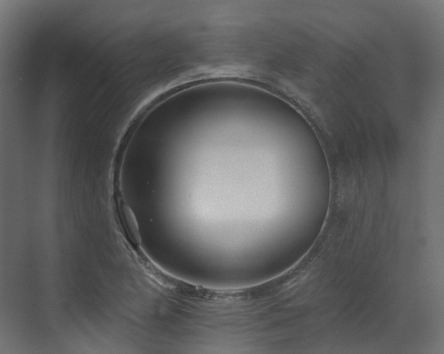 X0000073501174200607311245