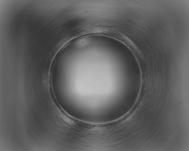 X0000073501178200607311245
