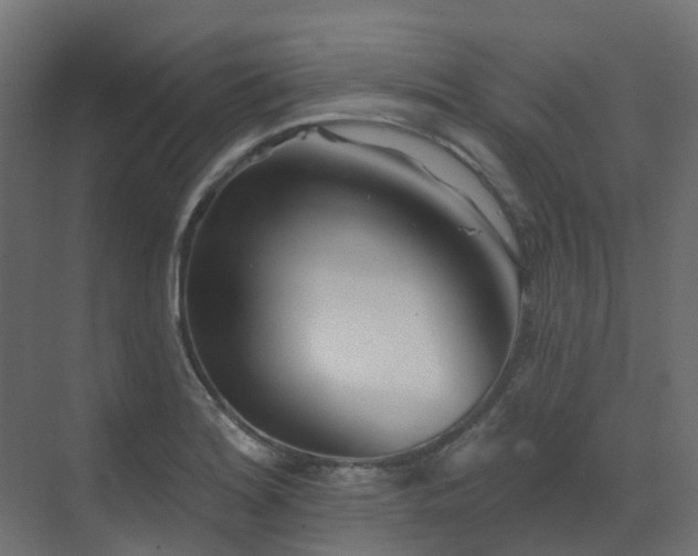 X0000073501180200607311245