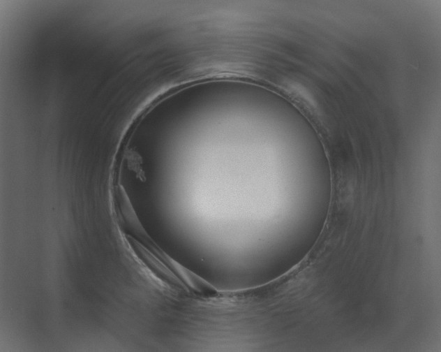 X0000073501182200607311245
