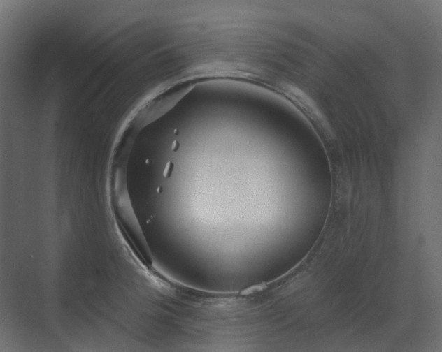 X0000073501188200607311244